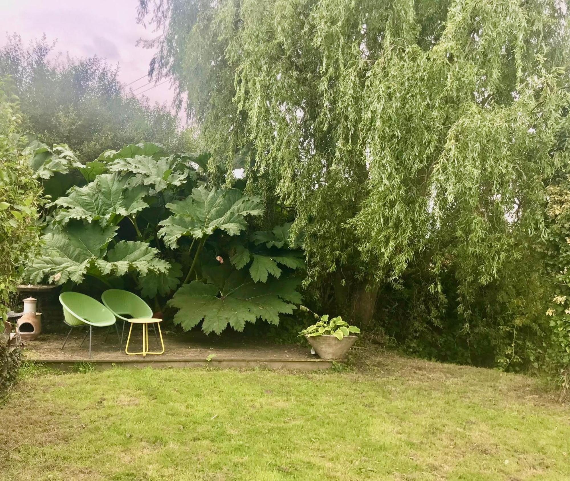 Rural Devon Retreat In Stunning Exe Valley. 엑서터 외부 사진